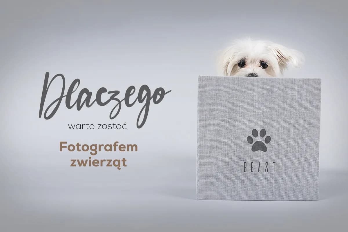 Ile zarabia fotograf zwierzęcy? Fakty, które mogą Cię zaskoczyć