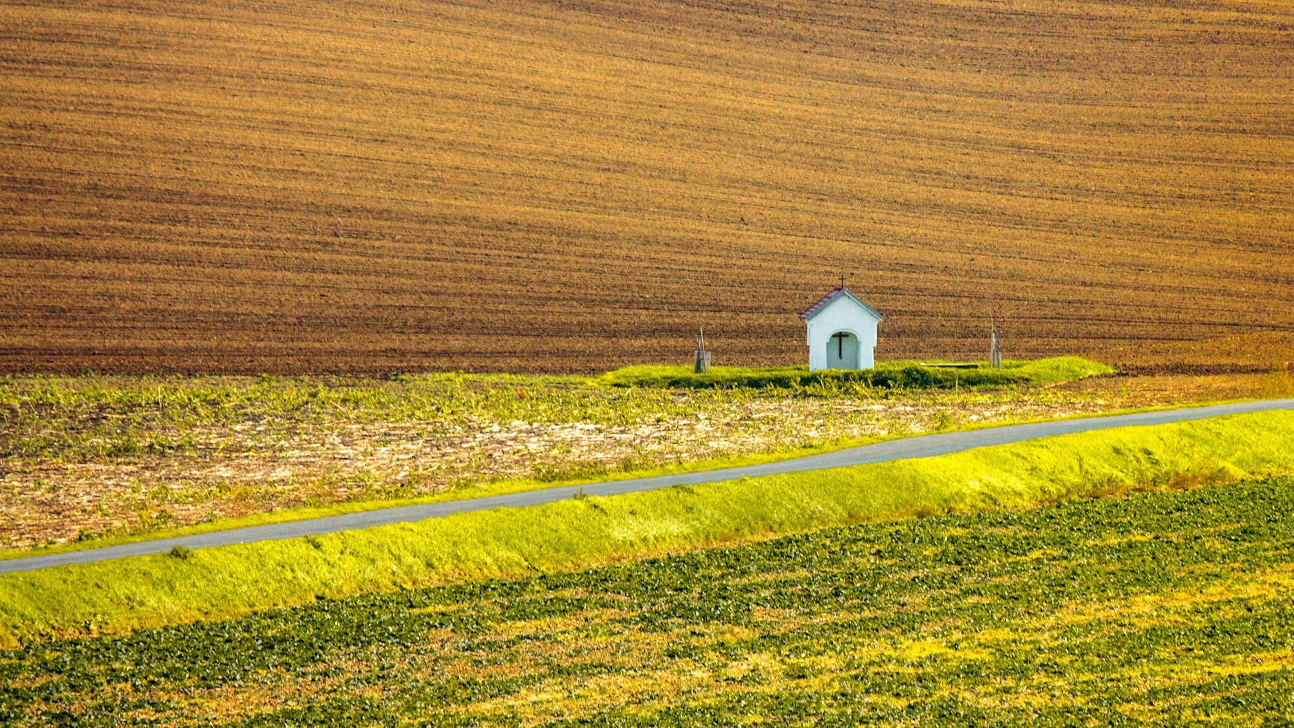 Mała kapliczka pośród zielonych pól w łagodnym, wiejskim krajobrazie