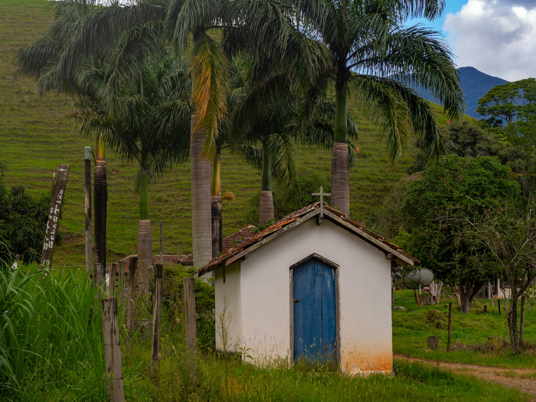 Mała wiejska kapliczka wśród zieleni i wysokich palm pod błękitnym niebem